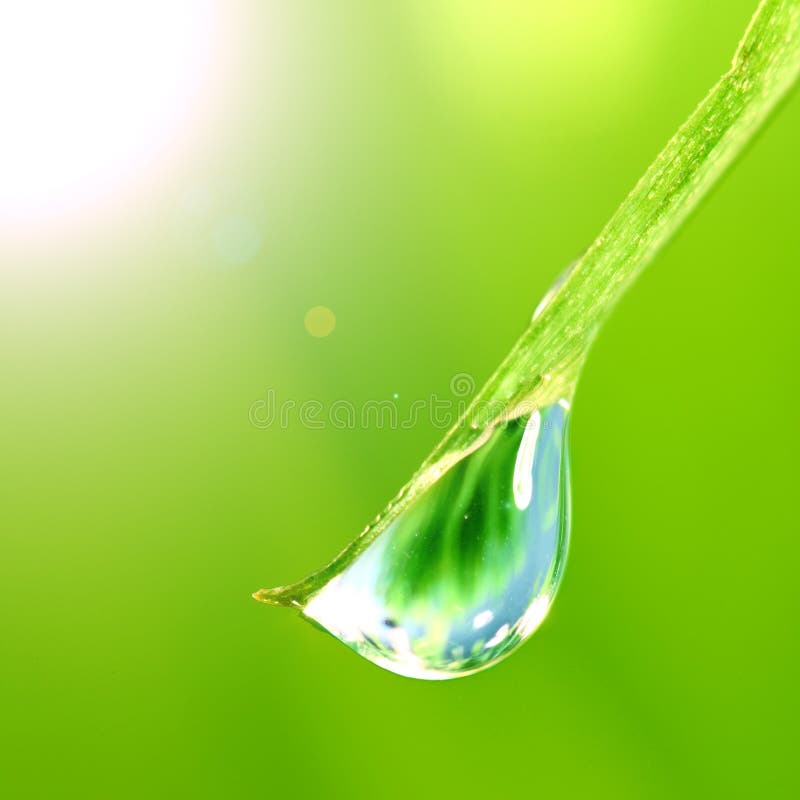 Shine water drop stock photos