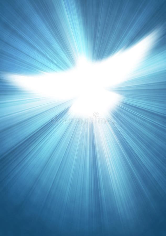 Shining dove with rays