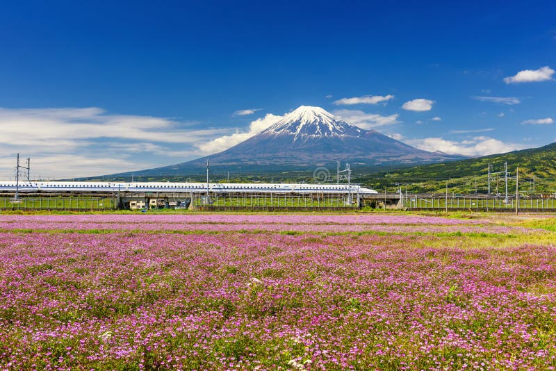 SHIZUOKA JAPAN - MAY 05 2017: Shinkansen or JR Bullet train running pass through Mt. Fuji and Shibazakura at spring with blue sky. Super high speed train N700 can transit between Tokyo and Osaka. SHIZUOKA JAPAN - MAY 05 2017: Shinkansen or JR Bullet train running pass through Mt. Fuji and Shibazakura at spring with blue sky. Super high speed train N700 can transit between Tokyo and Osaka.