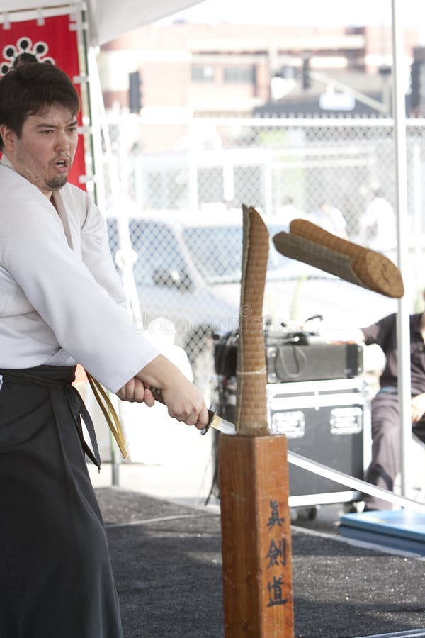 Shinkendo redaktionelles foto. Bild von blüte, japanisch 21353561