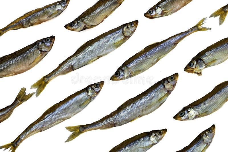 Shiny Dried Fish Isolated on White Background, Protein Source, Beer