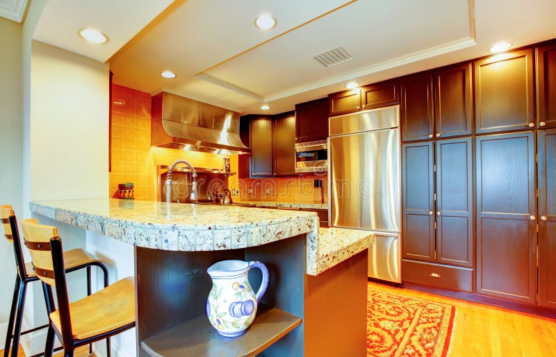 Shiny kitchen with black wood cabinets and steel appliances