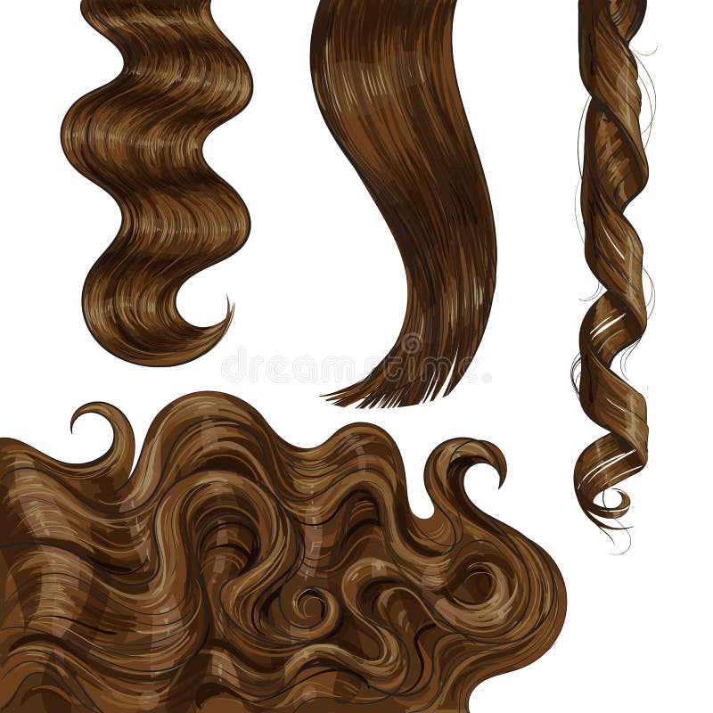 Brown Hair Texture Stock Illustrations – 8,458 Brown Hair Texture Stock