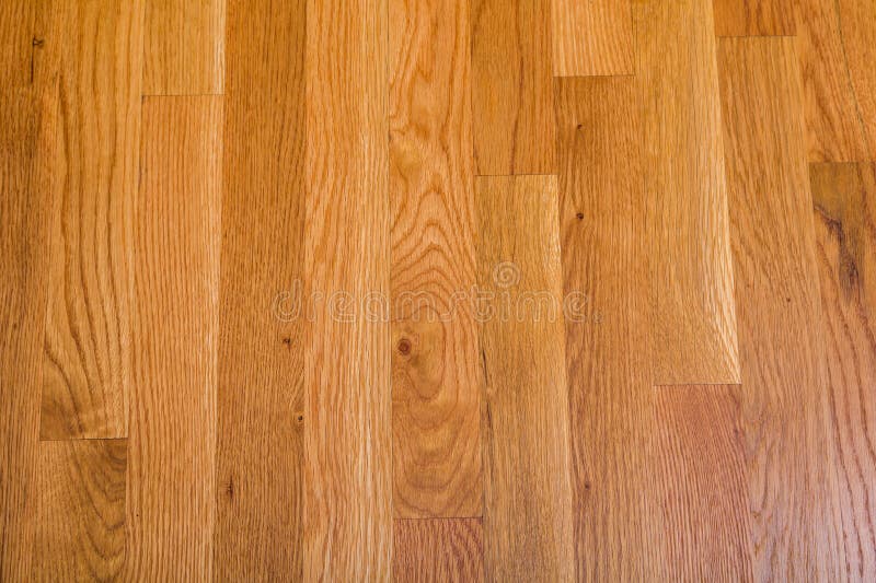 Shiny Polished Hardwood Floor