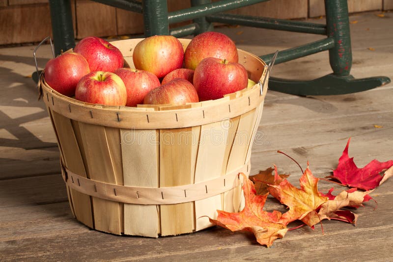 Shiny red apples fill a bushel basket