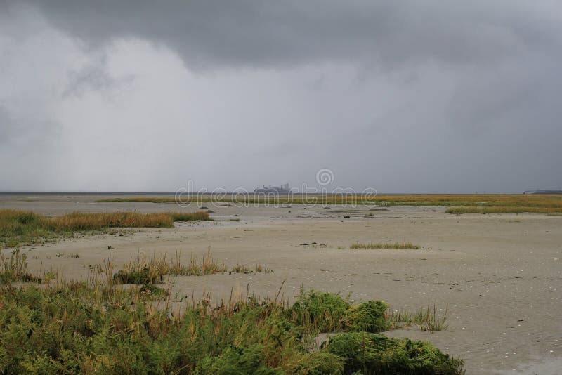 Ship Navigates Along a Salt Marsh with Low Tide Stock Photo Image of