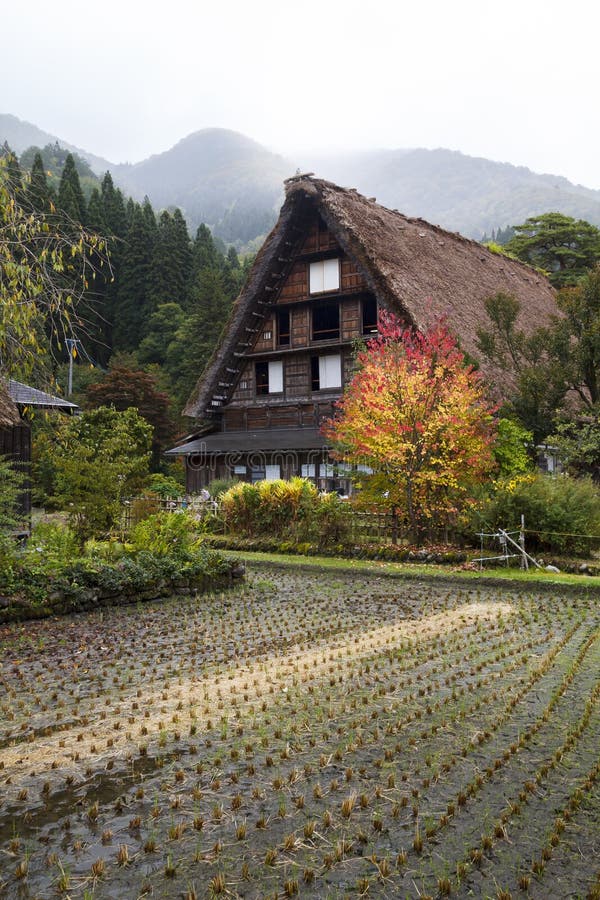 Shirakawa-va il villaggio nella prefettura di Gifu, Giappone fotografia stock libera da diritti Shirakawa-va il villaggio nella prefettura di Gifu, Giappone fotografia stock libera da diritti