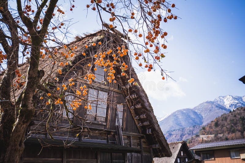 Shirakawa идет стоковые изображения