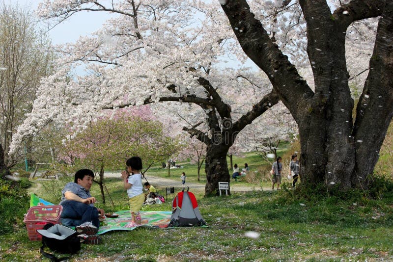 117 Shiroyama Photos Free Royalty Free Stock Photos From Dreamstime