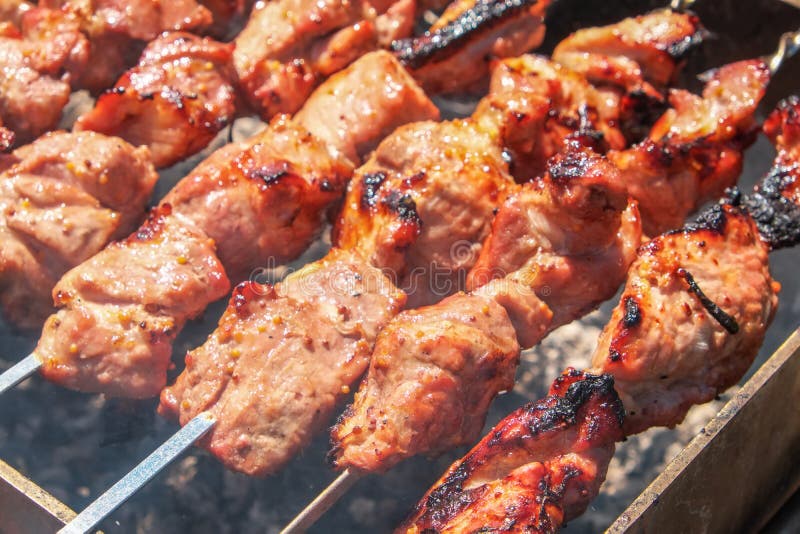Shish Kebab Is Baked Over A Fire With Smoke. Stock Image - Image of ...