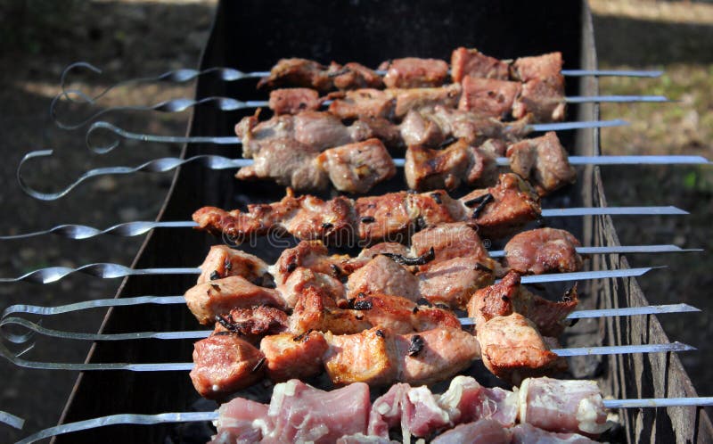 Shish kebabu prażak na grillu BBQ przyjęcie obraz royalty free Shish kebabu prażak na grillu BBQ przyjęcie obraz royalty free