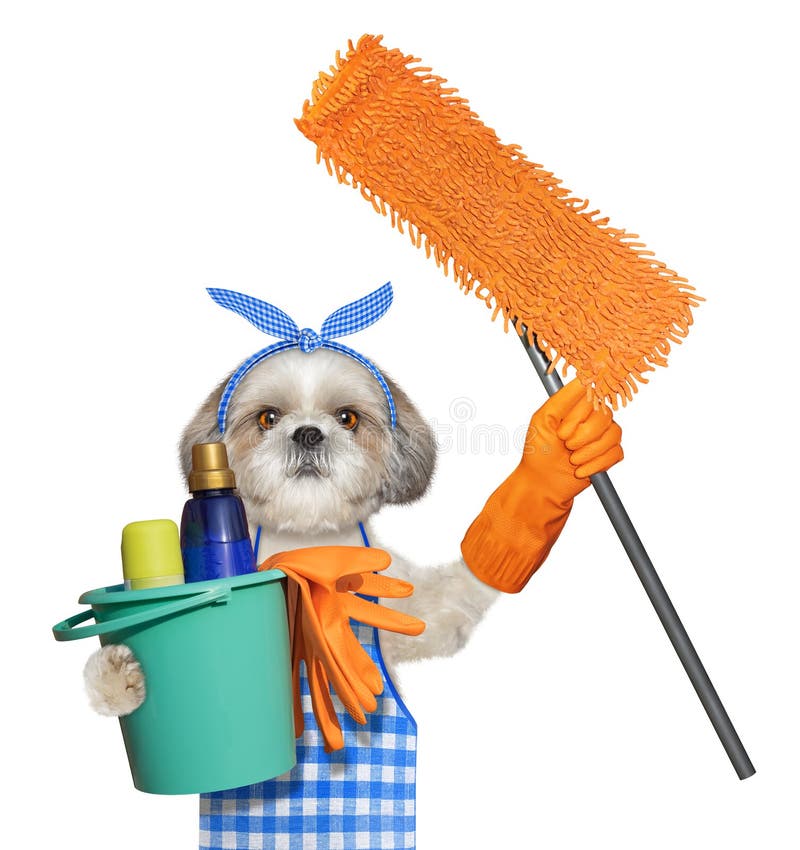 Dog Cleaning Bucket Royalty-Free Images, Stock Photos & Pictures