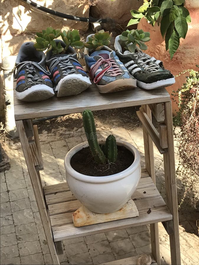 Shoe flower pots editorial stock image. Image of shoe 103492109