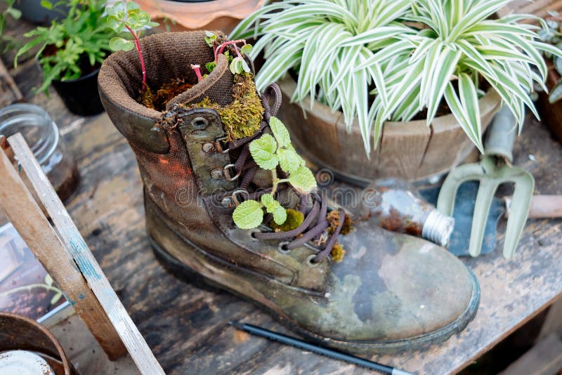 Shoe in the garden stock photo. Image of floral, design 63037292