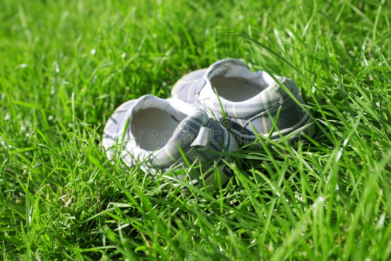Shoe in a summer grass stock photo. Image of material 19315844