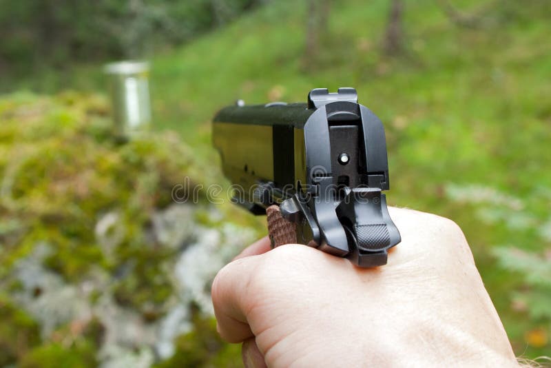 Shooting Practice in the Woods Stock Image Image of metal, dangerous
