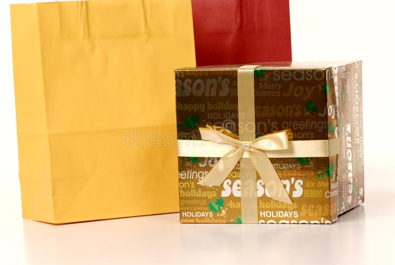 Shopping bags and ribbon gift box