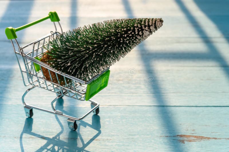 Shopping cart with Christmas fir tree in sunny morning stock image Shopping cart with Christmas fir tree in sunny morning stock image