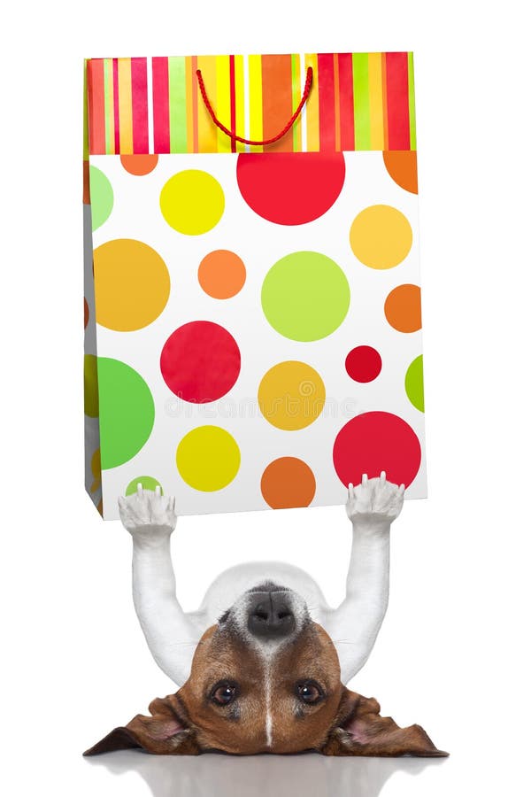 Shopping dog stock image. Image of luxury, sale, gift 35841117
