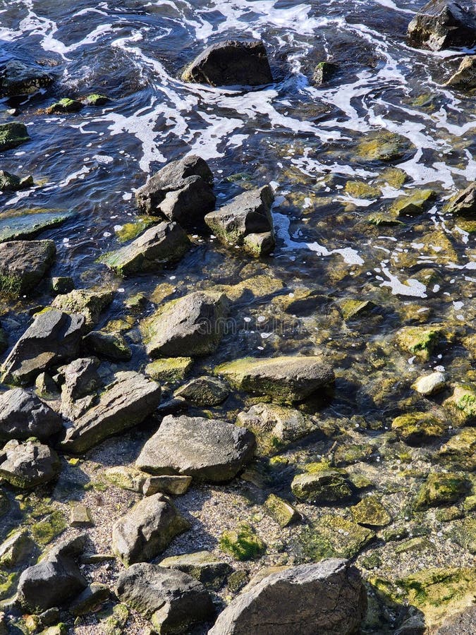 Shore : großes Moosgewässer mit Schaumstoff stockfotos