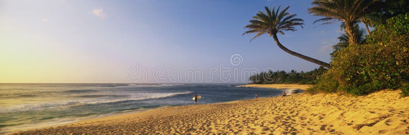 Shore of the island of Oahu.