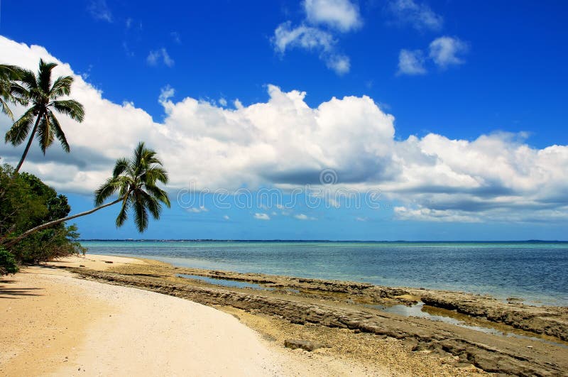 Shore of Makaha a Island Near Tongatapu Island in Tonga Stock Photo ...