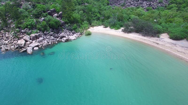 Shoreline e rocce e pietre con gli alberi forestali