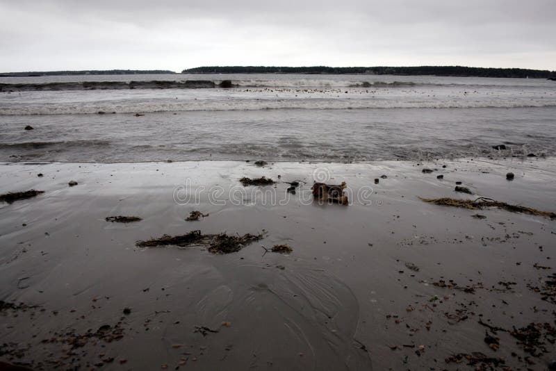 Shoreline på kalla Grey Day i Maine royaltyfria bilder Shoreline på kalla Grey Day i Maine royaltyfria bilder