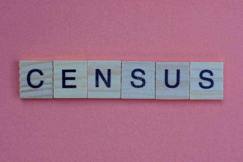 Short gray word census in small wooden letters lies on an orange background