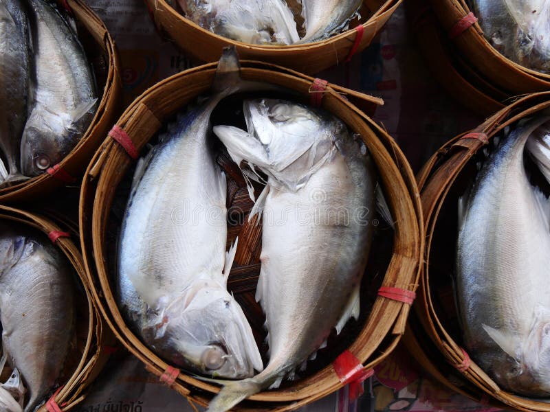 The Fresh Short Mackerel Fish (2) Stock Image Image of nutrition