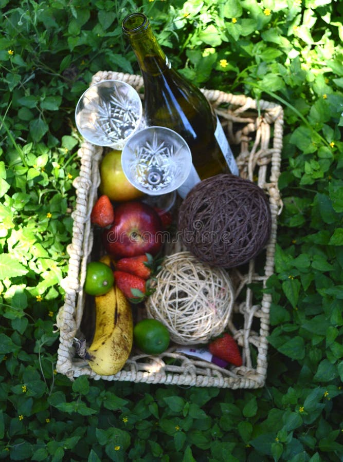 Romantic Picnic with a Bottle of White Wine Stock Photo Image of