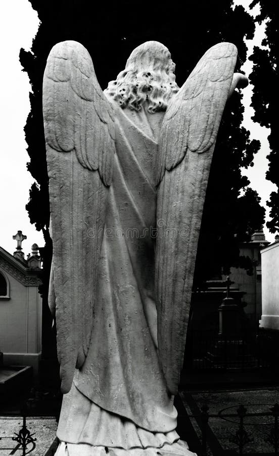 Long Hair Angel from Behind Stock Photo - Image of flower, decoration: 120652070 Long Hair Angel from Behind Stock Photo - Image of flower, decoration: 120652070