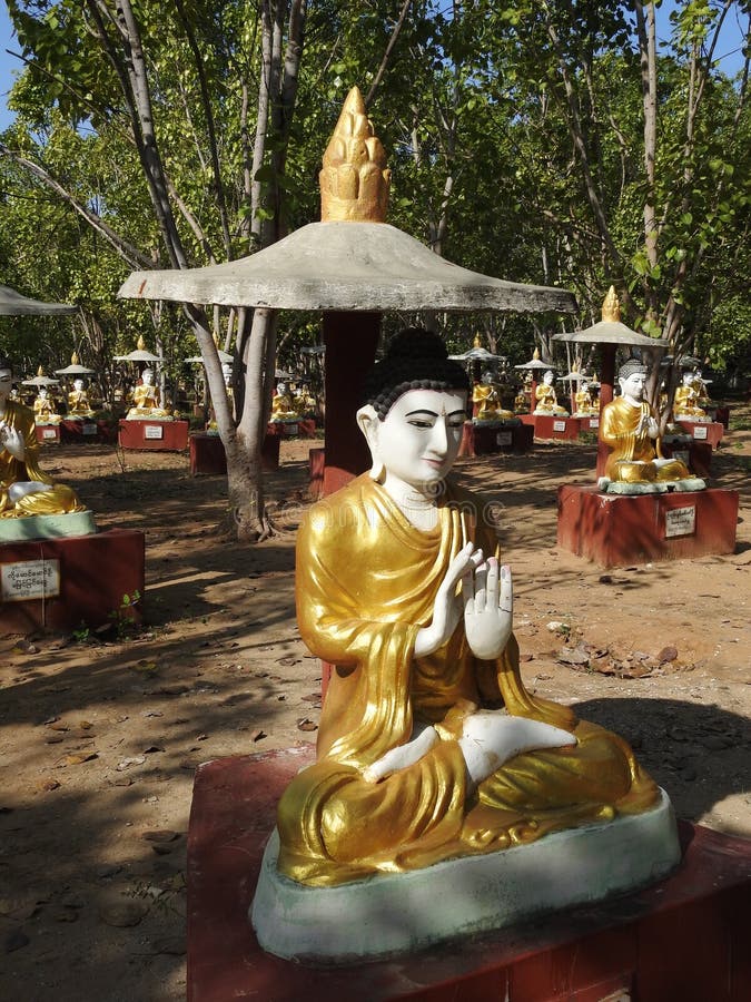 Shot from Buddha Garden, Bodhi Tataung Myanmar Stock Image - Image of ...