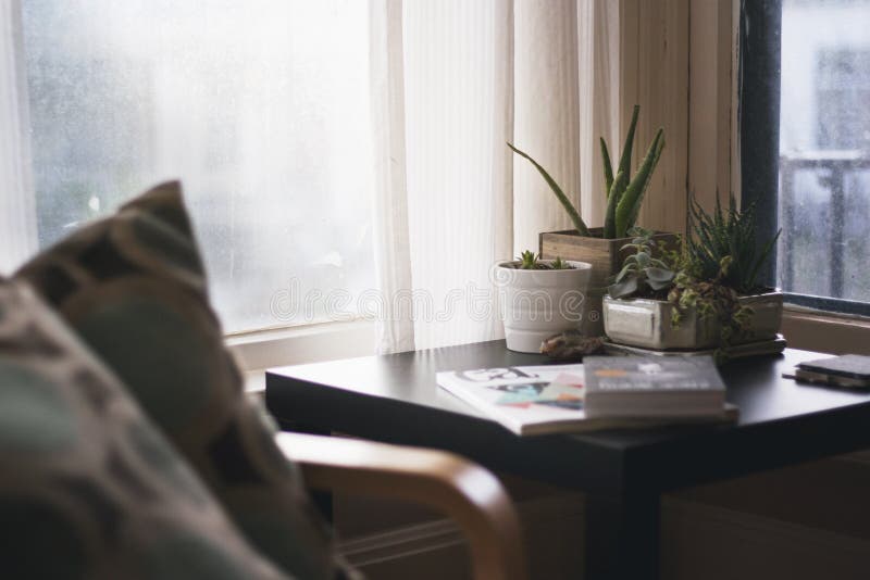 Shot Of Different Types Of Plants In Pots And Books On A Table Indoors