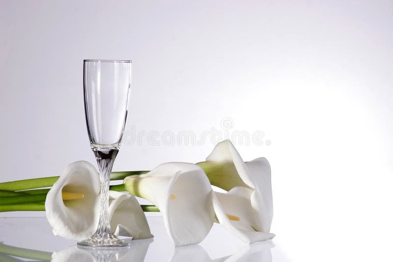 Shot of an isolated wine glass