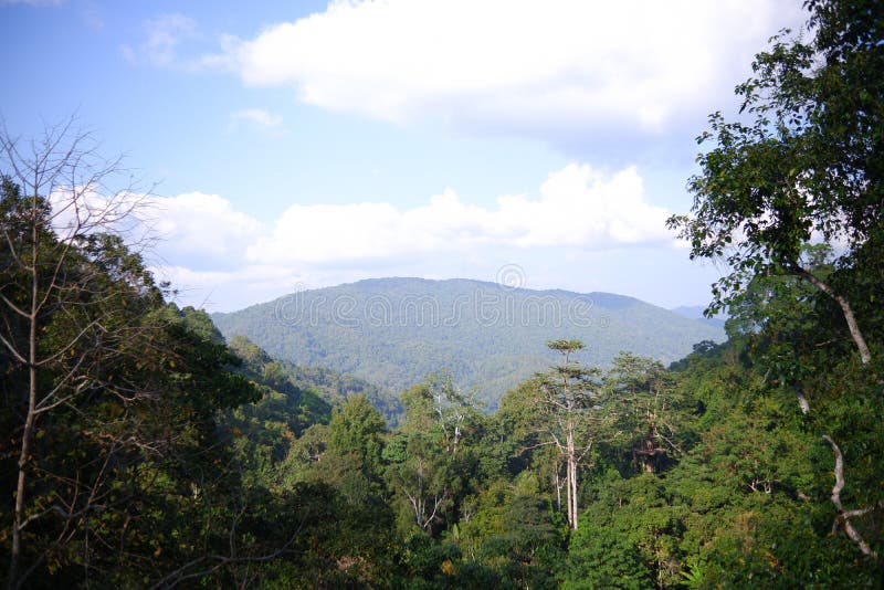 Mae Kampong, Chiang Mai, Thailand