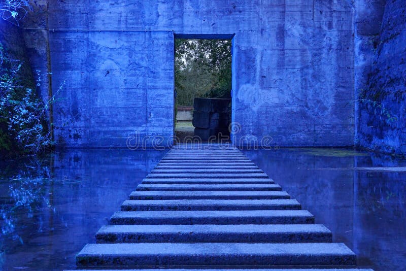 Shot of a Mysterious Room with Blue Lights with the Garden Unfolding