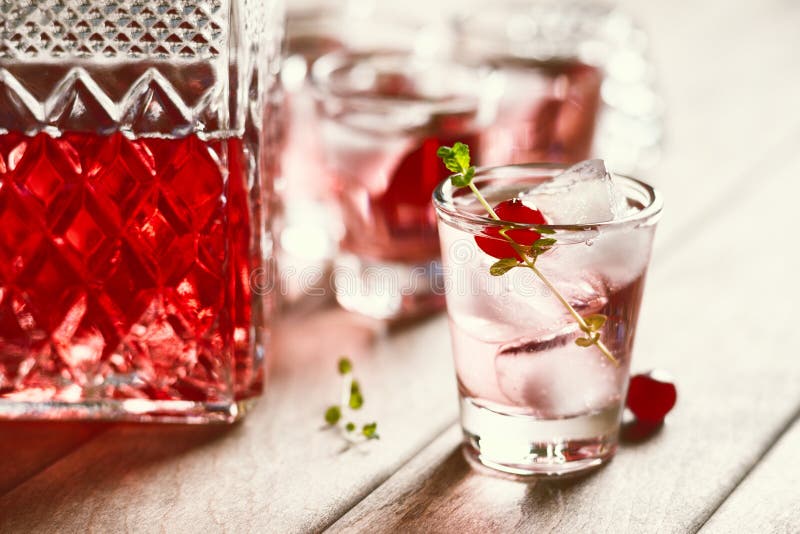 Shot with Natural Cranberry and Vodka Stock Image Image of drink