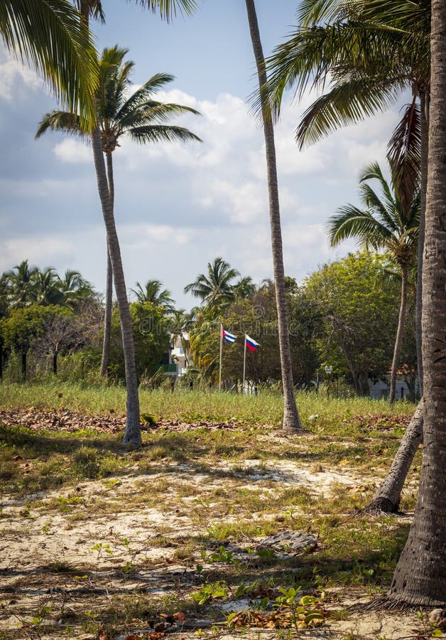 Shot of the Russian and Cuban flags floating on the wind. Countries royalty free stock image