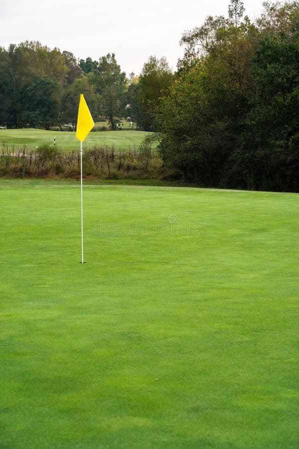 Shot of a Yellow Flag on a Lawn with Trees in a Golf Course on a Sunny