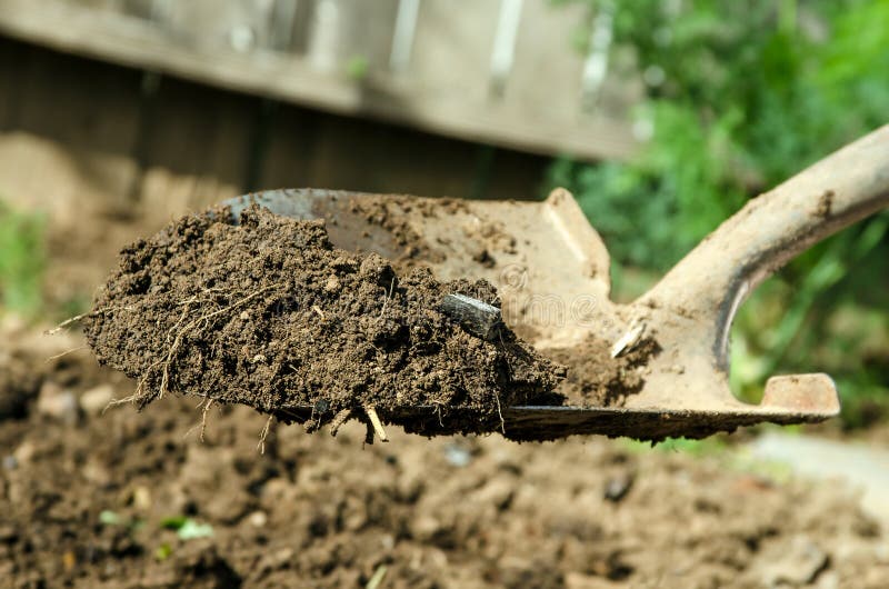 32,418 Shovel Dirt Photos Free & RoyaltyFree Stock Photos from