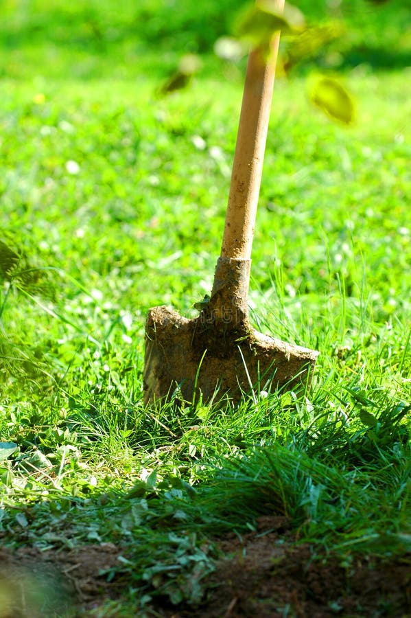 Shovel in Ground stock photo. Image of unearth, shovel 1597208