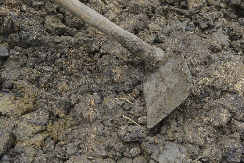 Shovel In The Heap Of Ground Stock Image Image of closeup, rural