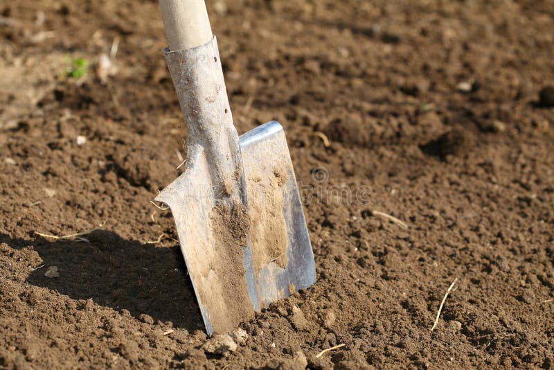 Shovel in the Ground stock stock photo. Image of background 24003252