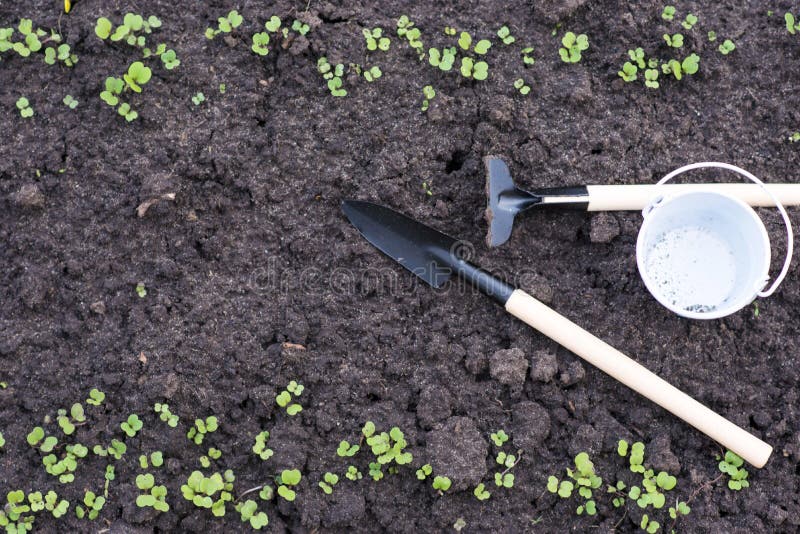 Shovel, Rake, Bucket. Gardening Tools Stock Image Image of nature