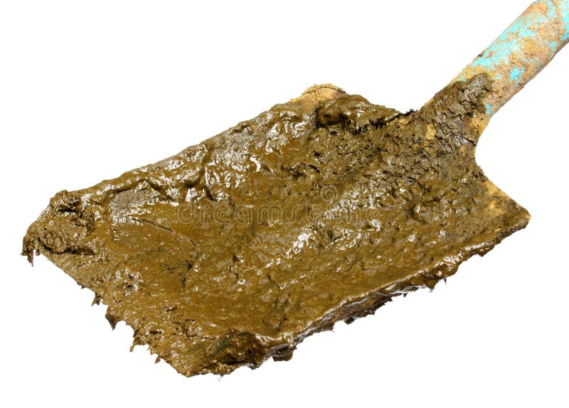 Cow manure on a shovel stock photo. Image of farm, black 36879498