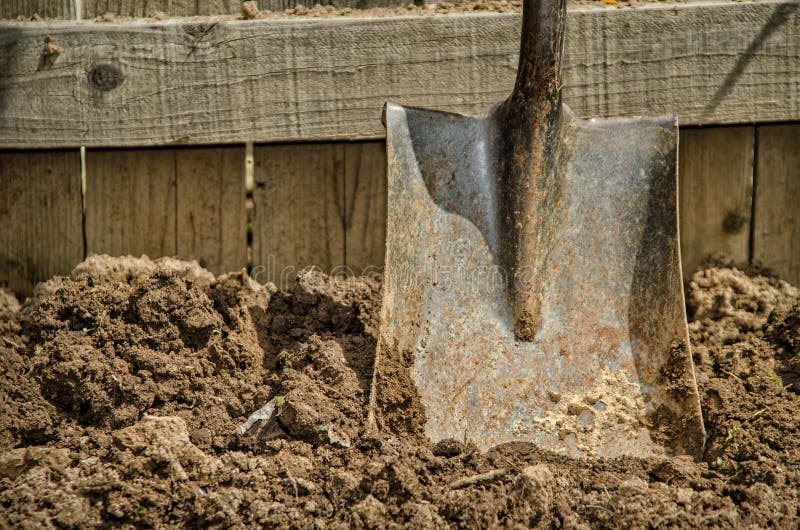 Shovel with dirt stock image. Image of soil, digging 24736853