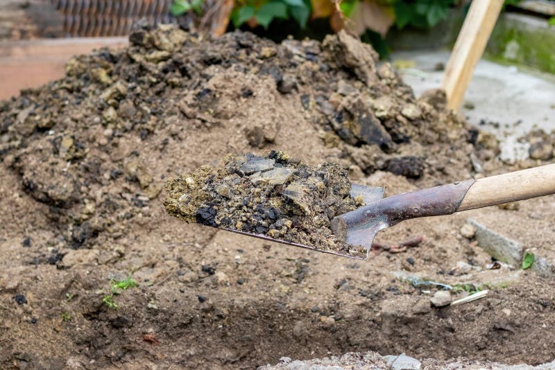 Shovel with soil in the hands of a builder while digging a ditch stock image