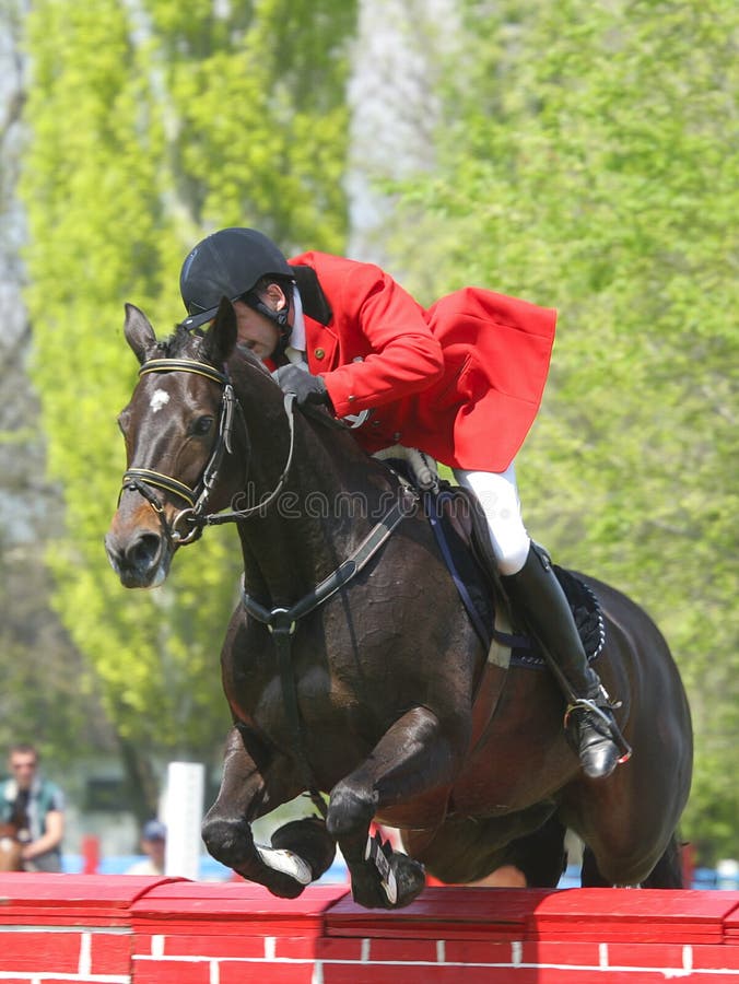 Cavaliere sul un cavallo saltando Attraverso ostacolo.