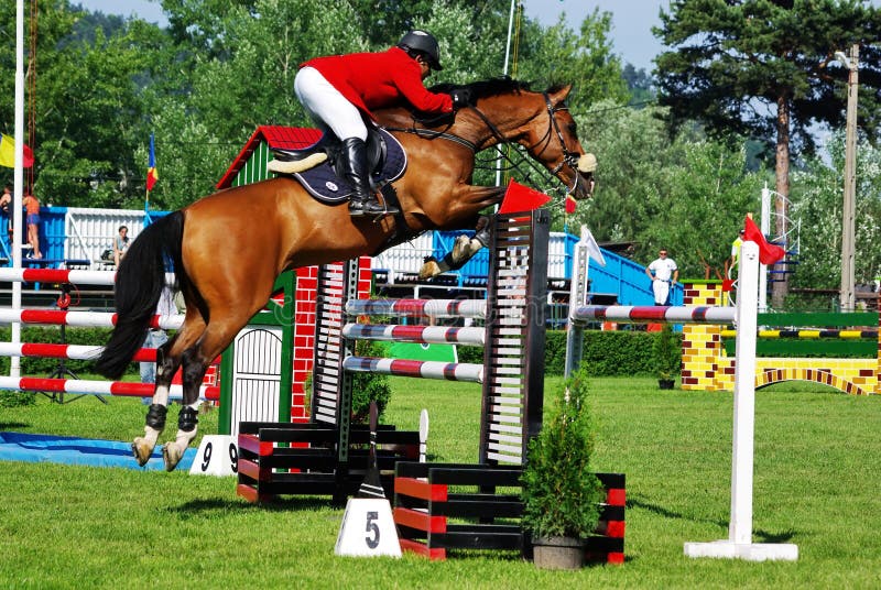 Show Jumping Horse Editorial Image Image 9834700